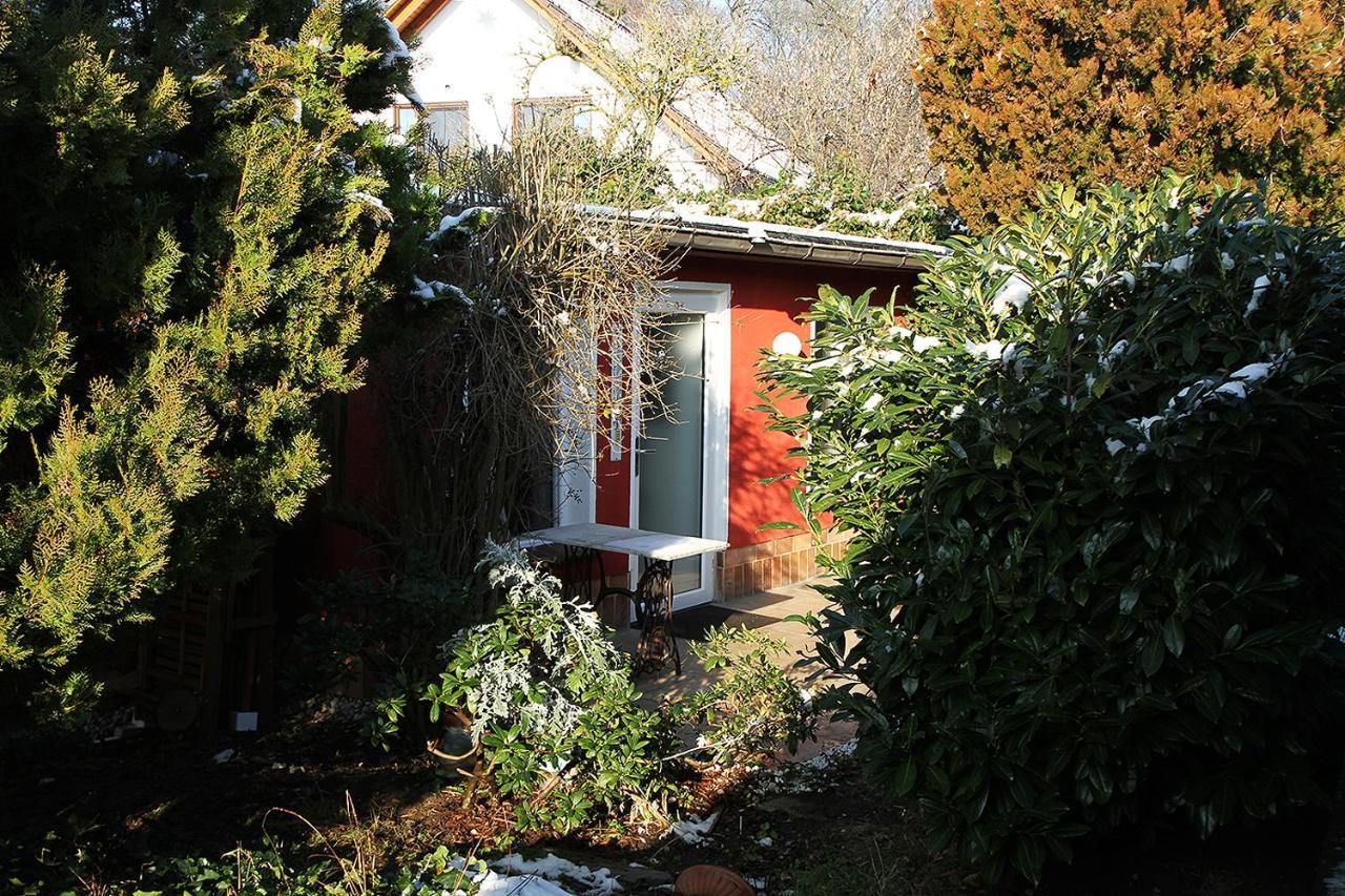 Haus Mit Kunst Zwischen Wald Und See Leipzig Exterior photo